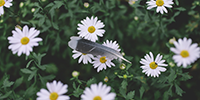 http://upforme.ru/uploads/0019/f3/4b/236/554711.png