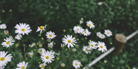 http://upforme.ru/uploads/0019/f3/4b/236/996357.png