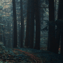 http://upforme.ru/uploads/0019/f3/4b/25/43256.png