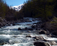 http://upforme.ru/uploads/0019/f3/4b/256/107128.gif