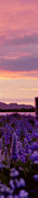 http://upforme.ru/uploads/0019/f3/4b/256/132189.gif