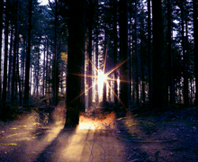 http://upforme.ru/uploads/0019/f3/4b/256/151740.gif