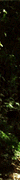 http://upforme.ru/uploads/0019/f3/4b/256/234678.gif