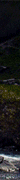 http://upforme.ru/uploads/0019/f3/4b/256/352353.gif