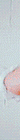 http://upforme.ru/uploads/0019/f3/4b/256/369255.gif