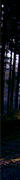 http://upforme.ru/uploads/0019/f3/4b/256/432697.gif