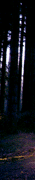 http://upforme.ru/uploads/0019/f3/4b/256/522624.gif