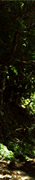 http://upforme.ru/uploads/0019/f3/4b/256/654494.gif