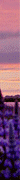 http://upforme.ru/uploads/0019/f3/4b/256/690275.gif