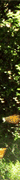 http://upforme.ru/uploads/0019/f3/4b/256/866774.gif
