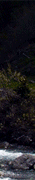 http://upforme.ru/uploads/0019/f3/4b/256/920059.gif