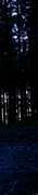 http://upforme.ru/uploads/0019/f3/4b/256/932257.gif