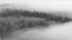 http://upforme.ru/uploads/0019/f3/4b/27/t338704.gif