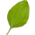 http://upforme.ru/uploads/0019/f3/4b/29/543201.png