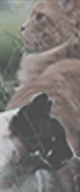 http://upforme.ru/uploads/0019/f3/4b/3/801229.png