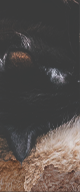 http://upforme.ru/uploads/0019/f3/4b/3/814127.png