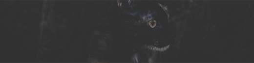 http://upforme.ru/uploads/0019/f3/4b/4/27480.png