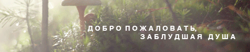 http://upforme.ru/uploads/0019/f3/4b/4/90624.gif