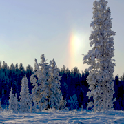 http://upforme.ru/uploads/0019/f3/4b/63/34287.png