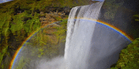 http://upforme.ru/uploads/0019/f3/4b/63/82003.gif