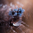 http://upforme.ru/uploads/0019/f3/4b/73/881849.png