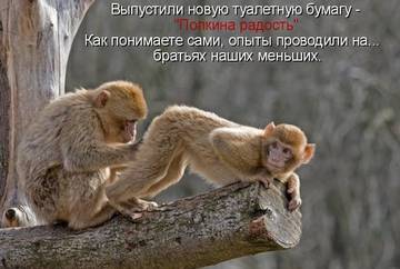 http://upforme.ru/uploads/0019/fe/1d/18/t80249.jpg