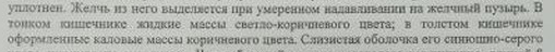 http://upforme.ru/uploads/0019/fe/1d/4/33646.png