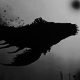 http://upforme.ru/uploads/0019/fe/89/382/63539.gif