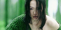 http://upforme.ru/uploads/0019/fe/89/447/t23876.gif