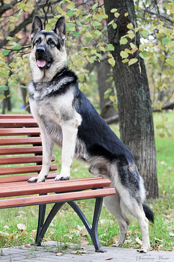 http://upforme.ru/uploads/0019/ff/e3/2/t11222.jpg