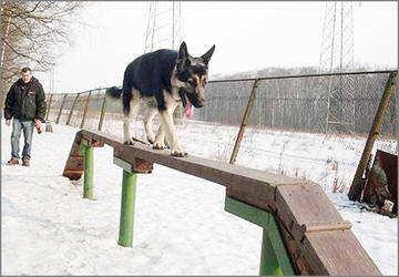 http://upforme.ru/uploads/0019/ff/e3/2/t15536.jpg