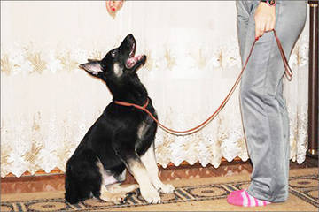 http://upforme.ru/uploads/0019/ff/e3/2/t26044.jpg