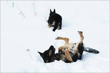 http://upforme.ru/uploads/0019/ff/e3/2/t32337.jpg