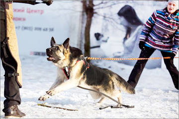 http://upforme.ru/uploads/0019/ff/e3/2/t33830.jpg