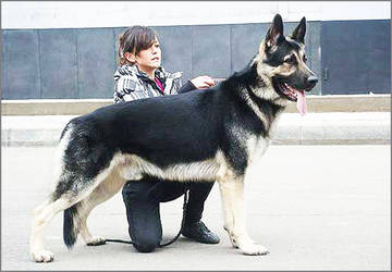 http://upforme.ru/uploads/0019/ff/e3/2/t59754.jpg
