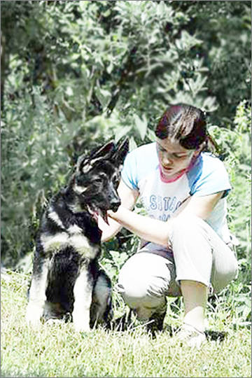 http://upforme.ru/uploads/0019/ff/e3/2/t67455.jpg