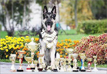 http://upforme.ru/uploads/0019/ff/e3/2/t72694.jpg