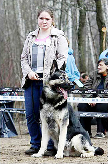 http://upforme.ru/uploads/0019/ff/e3/2/t76018.jpg