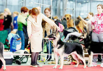 http://upforme.ru/uploads/0019/ff/e3/2/t76743.jpg
