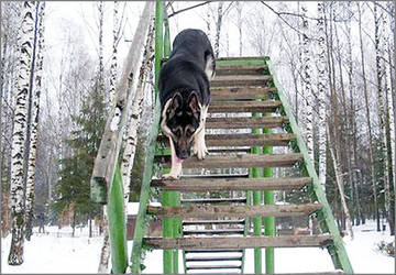 http://upforme.ru/uploads/0019/ff/e3/2/t80460.jpg