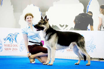 http://upforme.ru/uploads/0019/ff/e3/2/t82212.jpg
