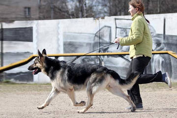 http://upforme.ru/uploads/0019/ff/e3/2/t85036.jpg