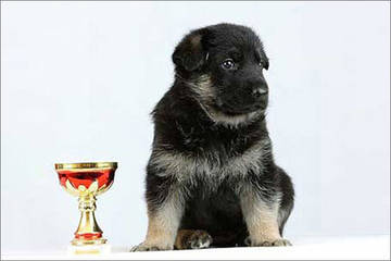 http://upforme.ru/uploads/0019/ff/e3/2/t90031.jpg