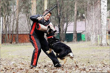 http://upforme.ru/uploads/0019/ff/e3/2/t91927.jpg