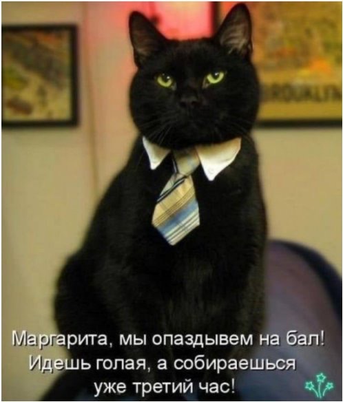 http://upforme.ru/uploads/001a/00/cb/10/69238.jpg