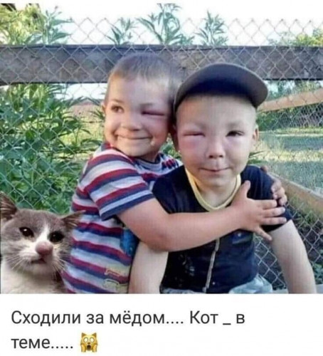 http://upforme.ru/uploads/001a/00/cb/13/t500228.jpg