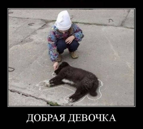 http://upforme.ru/uploads/001a/00/cb/13/t66723.jpg