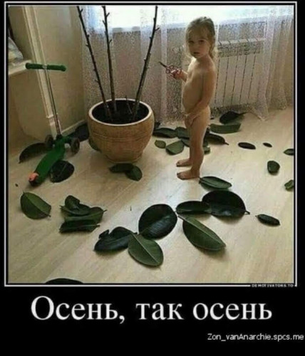 http://upforme.ru/uploads/001a/00/cb/13/t685414.jpg