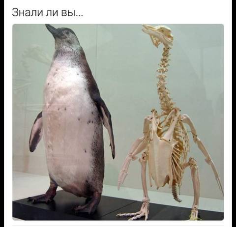 http://upforme.ru/uploads/001a/00/cb/139/t28722.jpg