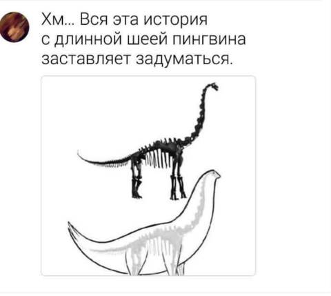 http://upforme.ru/uploads/001a/00/cb/139/t36169.jpg